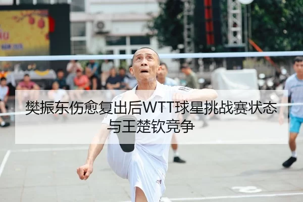 樊振东伤愈复出后WTT球星挑战赛状态与王楚钦竞争
