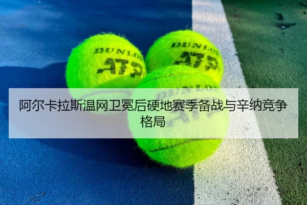 a-er-ka-la-si-wen-wang-wei-mian-hou-ying-di-sai-ji-bei-zhan-yu-xin-na-jing-zheng-ge-ju-3-803.jpg